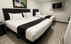 Hotel Ambar King